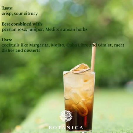 suszone plastry limonki - botanica - cukieteria.pl