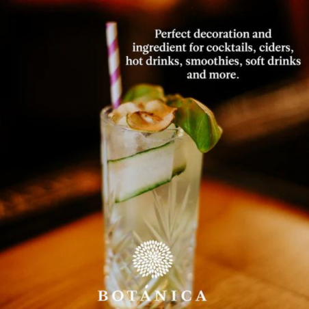 suszone plastry jabłka - botanica - cukieteria.pl