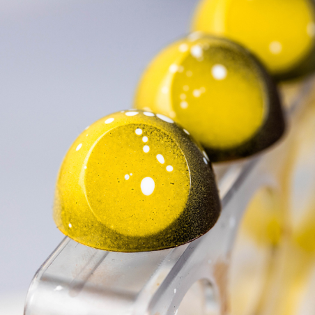 CW1561 Płaska półkula - Chocolate World - forma z poliwęglanu do pralin