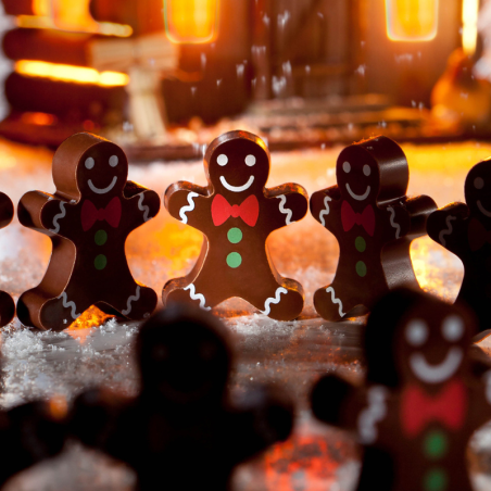 CW1000L33 PAN CIASTEK CHOCOLATE WORLD - magnetyczna forma z poliwęglanu do czekoladek