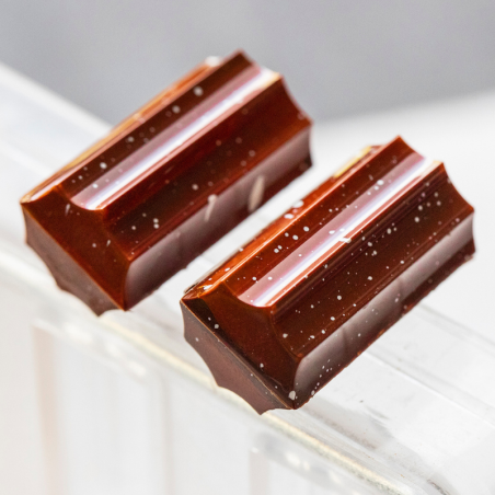 CW1730 Star Truffel - Alexandre Bourdeaux - Chocolate World - forma z poliwęglanu do pralin - dubbel model