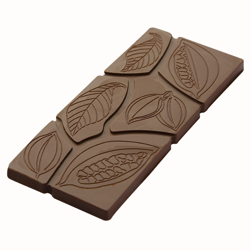 CF0810 ZIARNA KAKAOWCA CHOCOLATE WORLD - forma z poliwęglanu do dekoracyjnych tabliczek czekolady - poj. 50 g CF0810 ZIARNA KAKAOWCA CHOCOLATE WORLD - forma z poliwęglanu do dekoracyjnych tabliczek czekolady - poj. 50 g