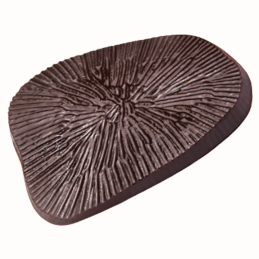 op. 144 szt. Paleo 33400 Barbara Decor - oryginalna dekoracja z ciemnej czekolady - dł. 45 x szer. 43 mm