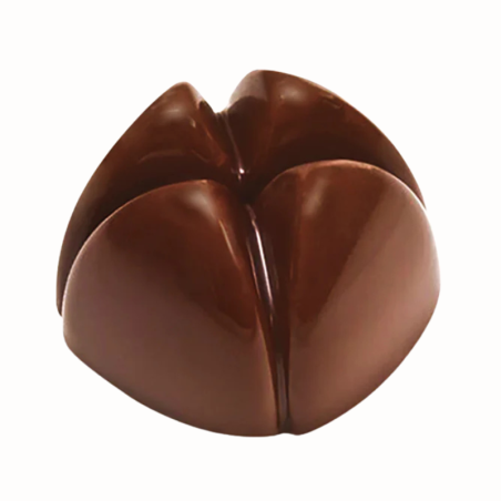 PC65 Pavoni Italia - forma z poliwęglanu do pralin - dł. 28 x szer. 28 x wys. 18 mm / poj. 10 g x 21 pralin