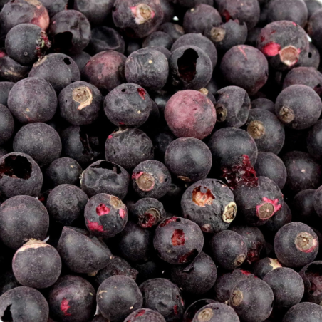 op. 500 g Czarna Porzeczka liofilizowana - całe owoce - Elena Liofilizaty