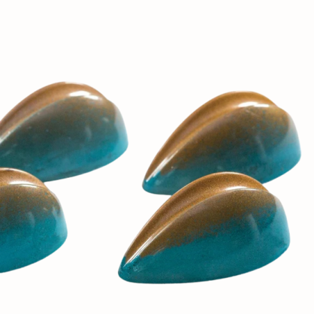 PC41 Pavoni Italia - forma z tritanu do pralin - dł. 43 x szer. 25 x wys. 17 mm / poj. 10 g x 21 pralin