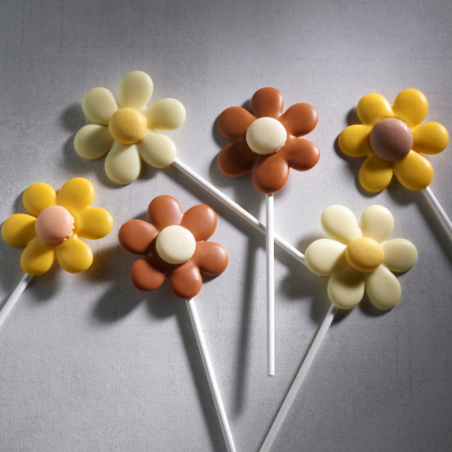 op. 384 szt.  Gotowe korpusy makaroników - neutralne - śr. 35 mm - Macarons Neutro 20309G Modecor