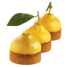 PX4359 Citron - forma silikonowa do deserów w kształcie cytryny - śr. 60 x wys. 37 mm / poj. 65 ml x 20 porcji