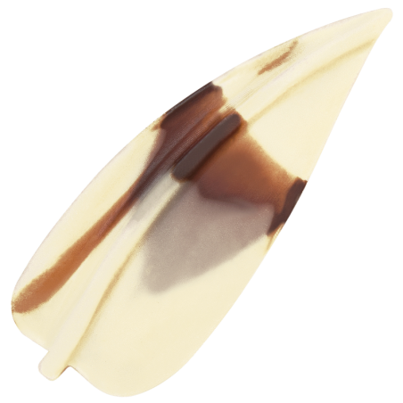 320 szt. LIŚCIE MIMOZY MARMURKOWE dekoracja czekoladowa 3395 Barbara Decor