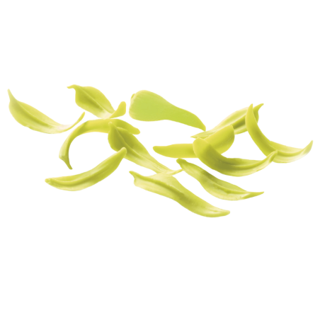 2,5 kg LISTKI WIERZBY LEMON 50 mm dekoracja z białej czekolady 333308 Barbara Decor