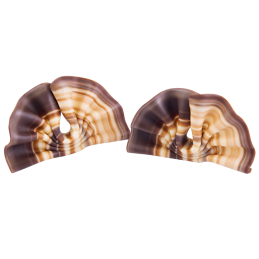 333 szt. WACHLARZ MARBLE 6001 BARBARA DECOR marmurkowa dekoracja czekoladowa 30 x 50 mm