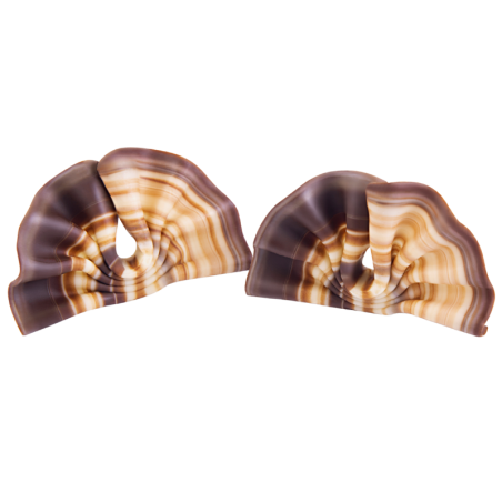 333 szt. WACHLARZ MARBLE 6001 BARBARA DECOR marmurkowa dekoracja czekoladowa 30 x 50 mm