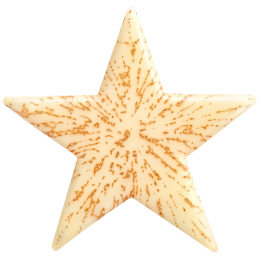 op. 288 szt. Złota gwiazdka z białej czekolady - 33768 Barbara Decor - świąteczne dekoracje czekoladowe - dł. 37 mm