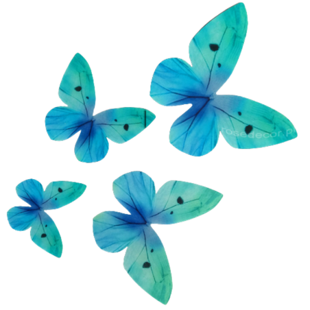87 szt. MOTYLE TURKUSOWE 405787 ROSE DECOR jadalna dekoracja waflowa w kształcie motyli