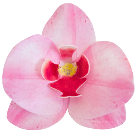 10 szt. STORCZYK RÓŻOWY 370410 ROSE DECOR jadalna dekoracja waflowa w kształcie kwiatów - orchidea