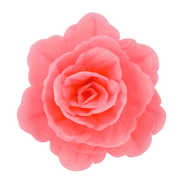 18 szt. RÓŻOWA RÓŻA CHIŃSKA ŚREDNIA 200418 ROSE DECOR jadalna dekoracja waflowa - 55 mm
