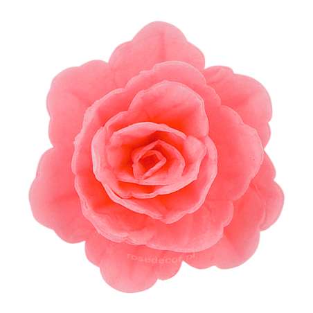 18 szt. RÓŻOWA RÓŻA CHIŃSKA ŚREDNIA 200418 ROSE DECOR jadalna dekoracja waflowa - 55 mm