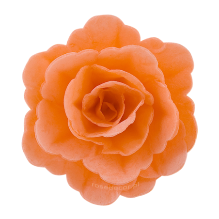 18 szt. ŁOSOSIOWA RÓŻA CHIŃSKA ŚREDNIA 201518 ROSE DECOR jadalna dekoracja waflowa - 55 mm