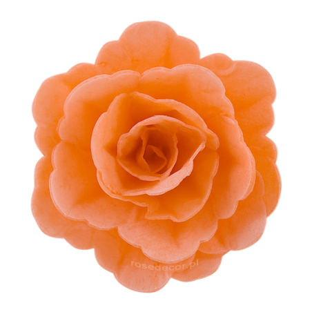18 szt. ŁOSOSIOWA RÓŻA CHIŃSKA ŚREDNIA 201518 ROSE DECOR jadalna dekoracja waflowa - 55 mm