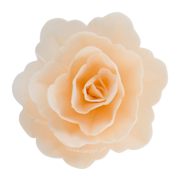 18 szt. KREMOWA RÓŻA CHIŃSKA ŚREDNIA 201318 ROSE DECOR jadalna dekoracja waflowa - 55 mm