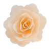 18 szt. KREMOWA RÓŻA CHIŃSKA ŚREDNIA 201318 ROSE DECOR jadalna dekoracja waflowa - 55 mm