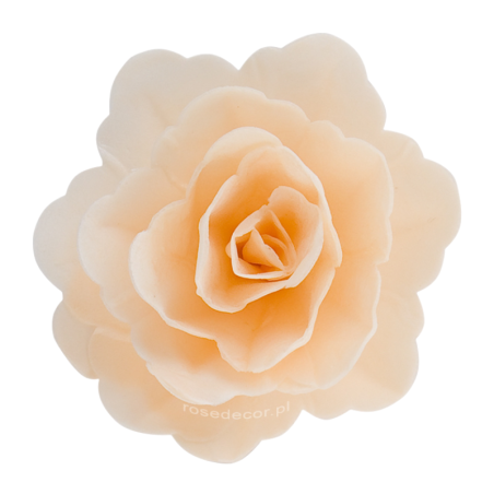 18 szt. KREMOWA RÓŻA CHIŃSKA ŚREDNIA 201318 ROSE DECOR jadalna dekoracja waflowa - 55 mm
