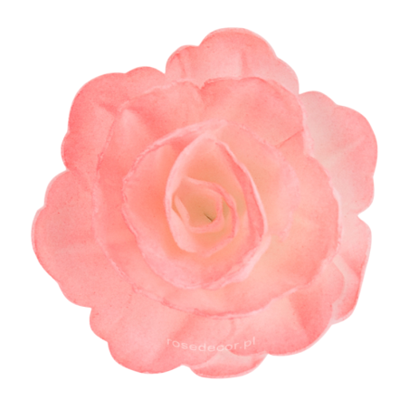 18 szt. RÓŻOWA CIENIOWANA RÓŻA CHIŃSKA ŚREDNIA 200818 ROSE DECOR jadalna dekoracja waflowa - 55 mm