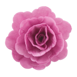 18 szt. AMARANTOWA RÓŻA CHIŃSKA ŚREDNIA 202718 ROSE DECOR jadalna dekoracja waflowa - 55 mm