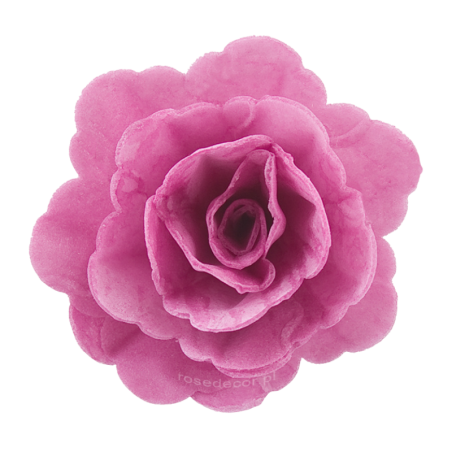 18 szt. AMARANTOWA RÓŻA CHIŃSKA ŚREDNIA 202718 ROSE DECOR jadalna dekoracja waflowa - 55 mm