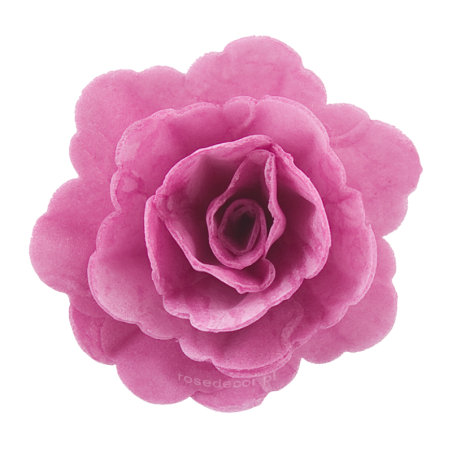 18 szt. AMARANTOWA RÓŻA CHIŃSKA ŚREDNIA 202718 ROSE DECOR jadalna dekoracja waflowa - 55 mm