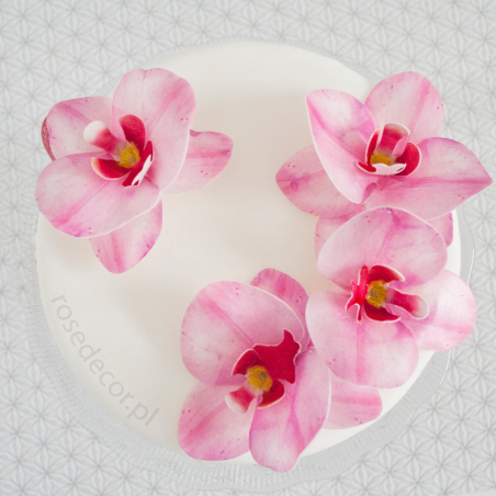 10 szt. STORCZYK RÓŻOWY 370410 ROSE DECOR jadalna dekoracja waflowa w kształcie kwiatów - orchidea