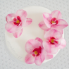 10 szt. STORCZYK RÓŻOWY 370410 ROSE DECOR jadalna dekoracja waflowa w kształcie kwiatów - orchidea