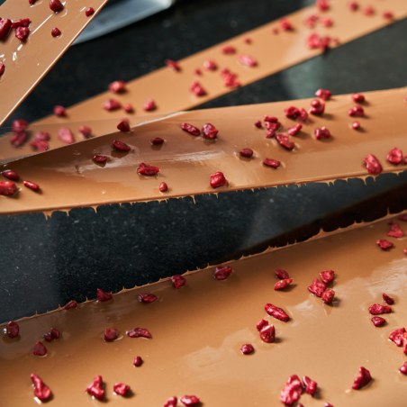 op. 400 g Liofilizowane kawałki truskawek pokryte warstwą tłuszczu kakaowego - Crispy Wet Proof - Sosa Ingredients