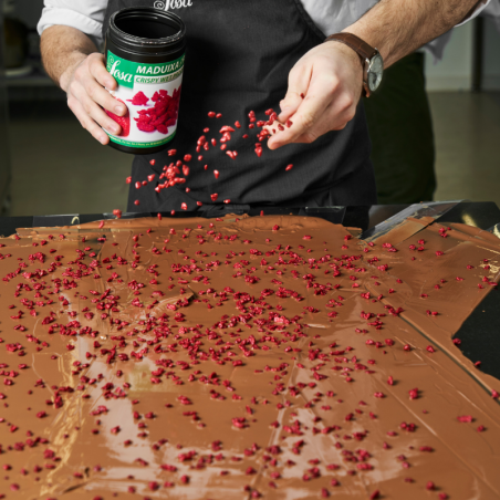 op. 400 g Liofilizowane kawałki truskawek pokryte warstwą tłuszczu kakaowego - Crispy Wet Proof - Sosa Ingredients