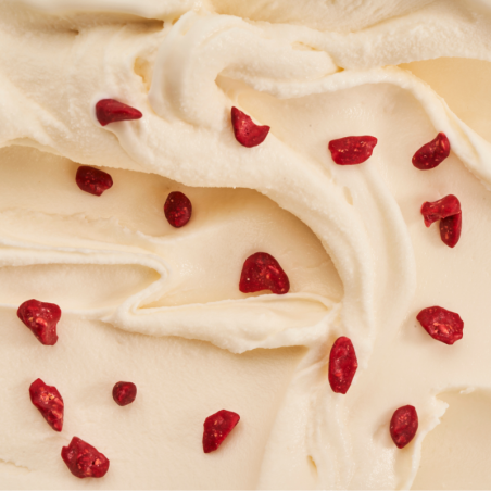 op. 400 g Liofilizowane kawałki truskawek pokryte warstwą tłuszczu kakaowego - Crispy Wet Proof - Sosa Ingredients