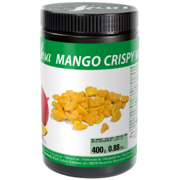 op. 400 g Liofilizowane kawałki mango pokryte warstwą tłuszczu kakaowego - posypka - Crispy Wet Proof Sosa Ingredients