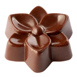 PC5073 Pavoni Italia - forma do pralin w kształcie kwiatów - śr. 38 x wys. 13 mm / poj. 10 g x 24 praliny
