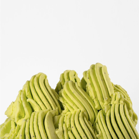 op. 1.25 kg FruttaFrutta Kiwi - kompletna mieszanka do lodów owocowych - nr. kat 11513 Babbi