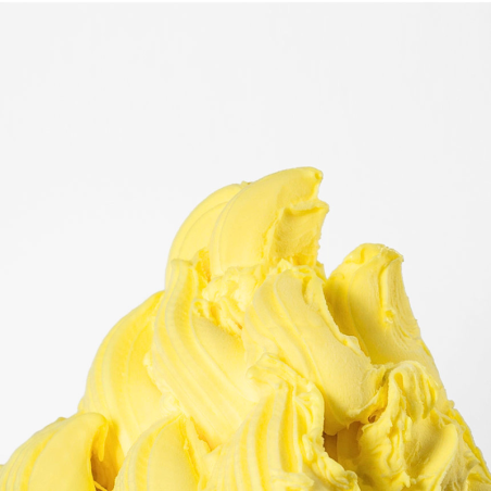 op. 1.25 kg FruttaFrutta Limoncello - kompletna mieszanka do lodów cytrynowych - nr. kat. 11511 Babbi