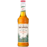 op. 0.7 l Syrop z agawy meksykańskiej - Agave Sugar Le Sirop de Monin - szklana butelka