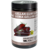 op. 500 g Guma Gellan - funkcjonalny dodatek spożywczy - żelujący i zagęszczający - nr. kat. 48690 Sosa Ingredients