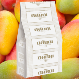 op. 1.25 kg FruttaFrutta Mango con pezzi - kompletna mieszanka do lodów z kawałkami owoców - nr. kat. 11549 Babbi