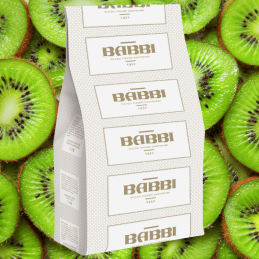 op. 1.25 kg FruttaFrutta Kiwi - kompletna mieszanka do lodów owocowych - nr. kat 11513 Babbi