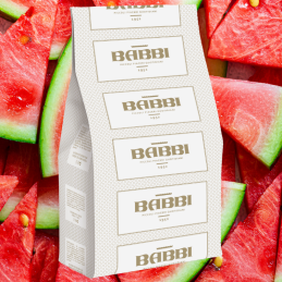 op. 1.25 kg FruttaFrutta Anguria - kompletna mieszanka do lodów arbuzowych - nr. kat. 11504 Babbi