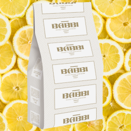 op. 1.25 kg FruttaFrutta Limone con pezzi - kompletna mieszanka do lodów cytrynowych z kawałkami owoców - nr. kat. 11606 Babbi