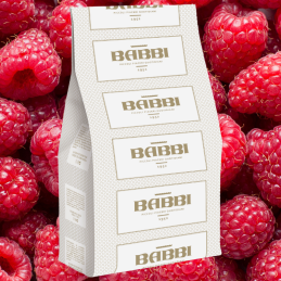 op. 1.25 kg FruttaFrutta Lampone con pezzi - kompletna mieszanka do lodów malinowych z kawałkami owoców - nr. kat. 11608 Babbi