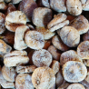 op. 1 kg Figi suszone - całe suszone owoce bez dodatków