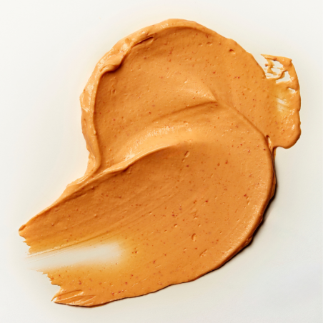 op. 600 g Promayo - emulgator w proszku do produkcji sosów majonezowych - nr. kat. 56132 Sosa Ingredients