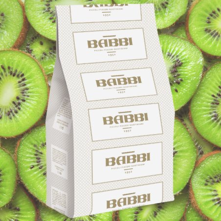 op. 1.25 kg FruttaFrutta Kiwi - kompletna mieszanka do lodów owocowych - nr. kat 11513 Babbi