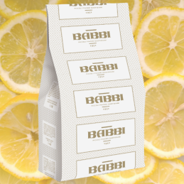 op. 1.25 kg FruttaFrutta Limoncello - kompletna mieszanka do lodów cytrynowych - nr. kat. 11511 Babbi